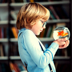 Boy with aquarium MBK Group Consultants: Responsible