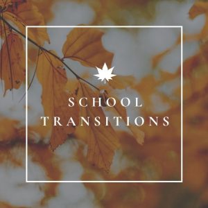 Why don't schools use early years settings' transition documents