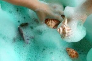 shells12 682x1024 1 e1606524398559