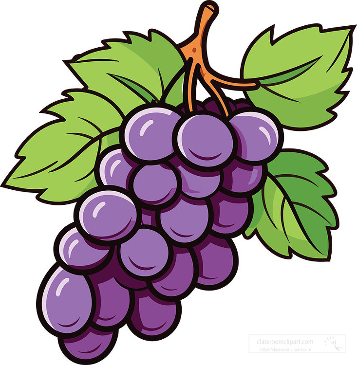 Grapes