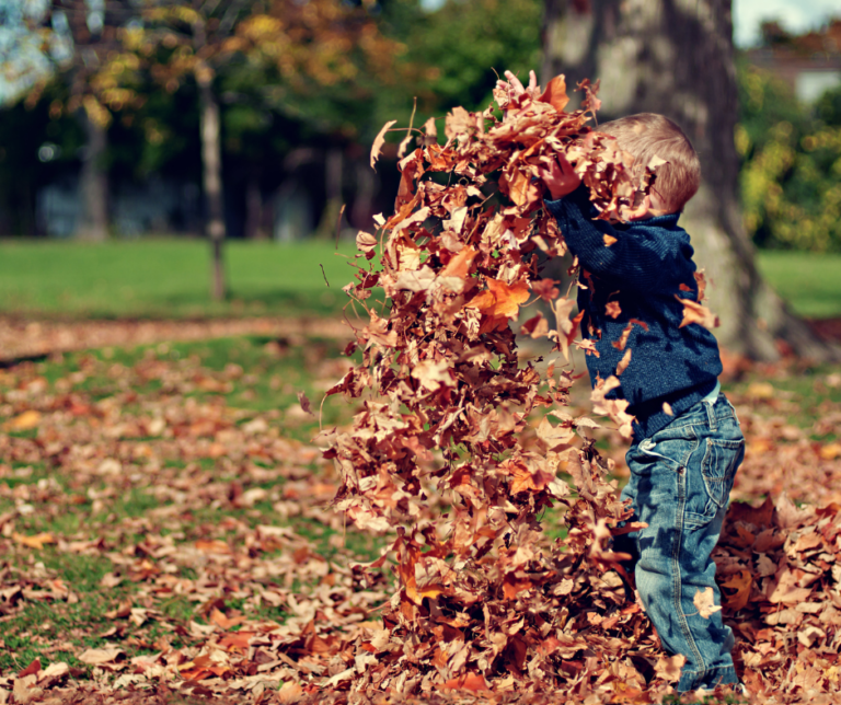 boy throwing leaves in air
