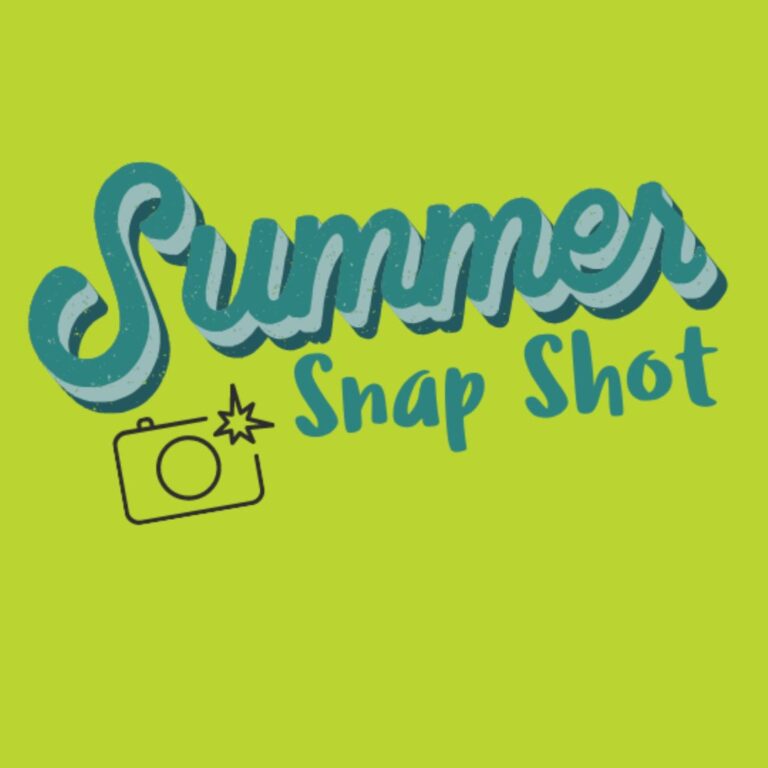 Summer Snap Shot Webinars