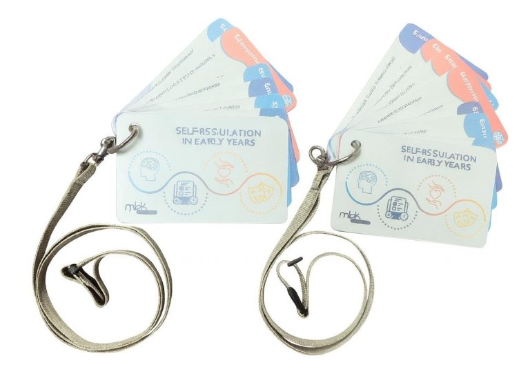 Self Regulation 2 Cards