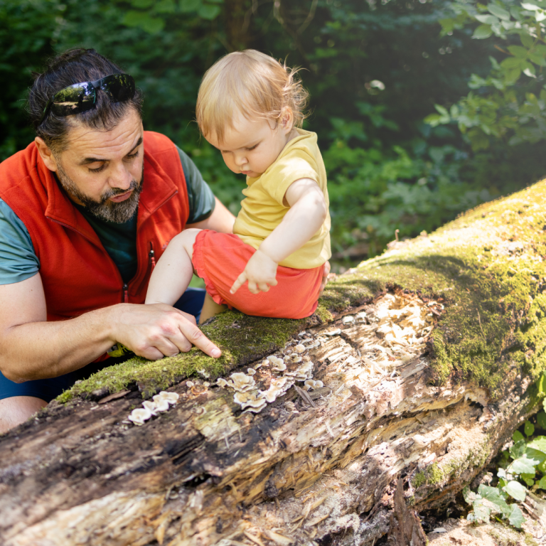 An image of a adult engaged in sustained shared thinking with a preschooler exploring bugs on a tree trunk