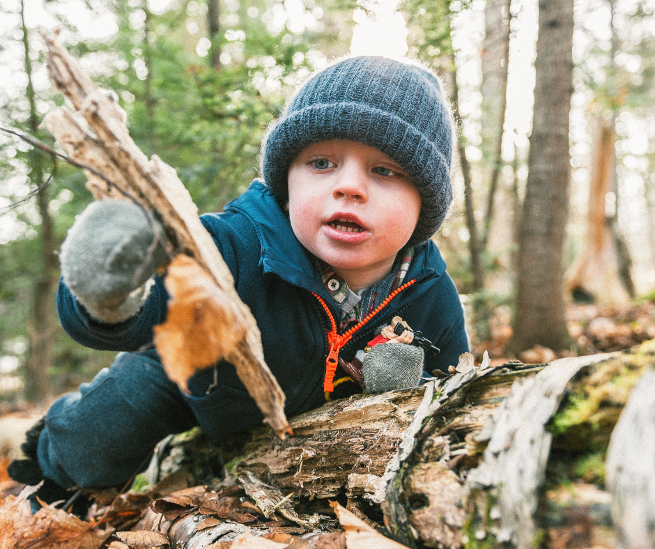 An image of a preschooler climbing a tree