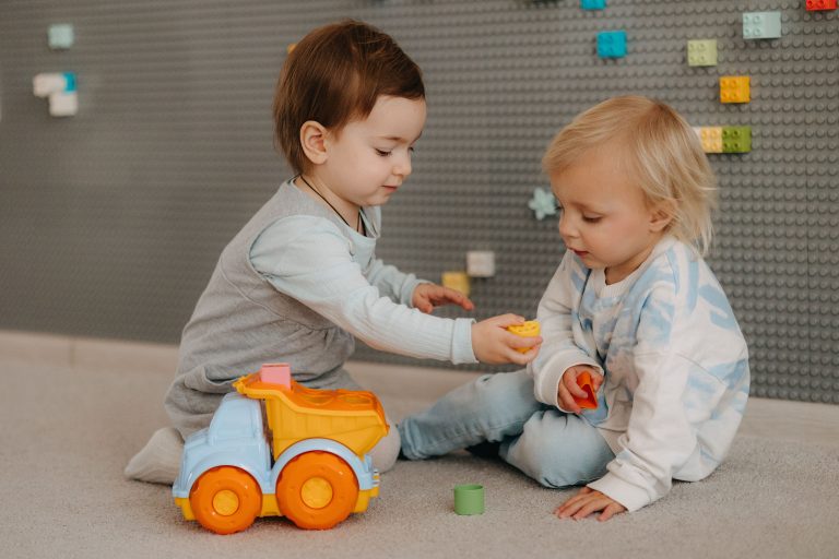 pexels polesietoys 27661855